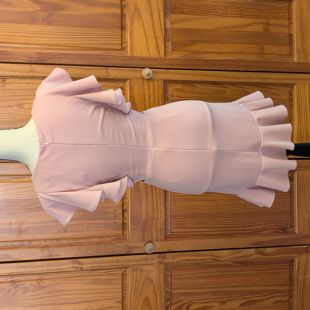Hello Molly Take Chances Blush Dress Size 6 - Picture 7 of 9